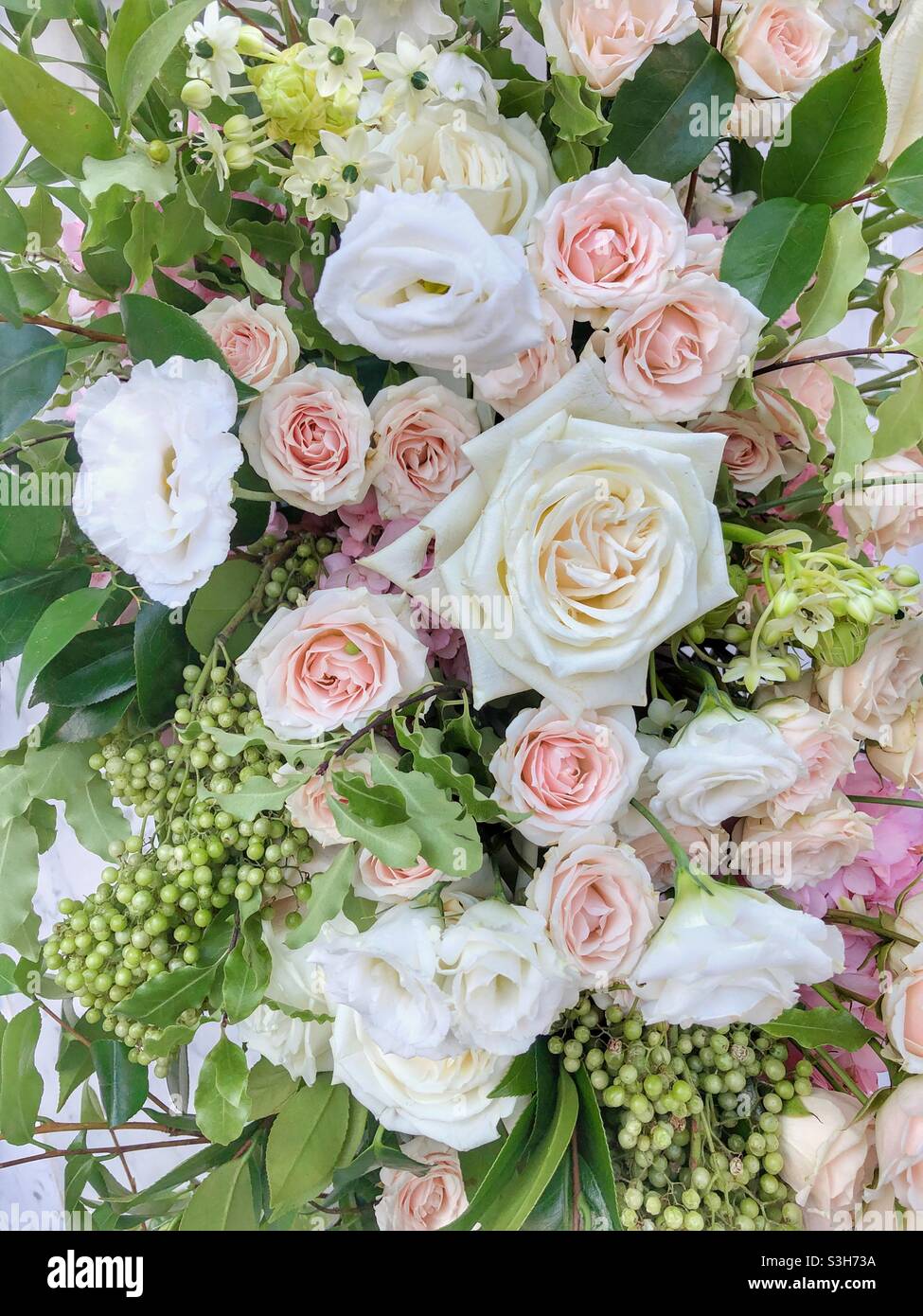 A bouquet of white and pink roses. - Smartphone Captured Stock Image