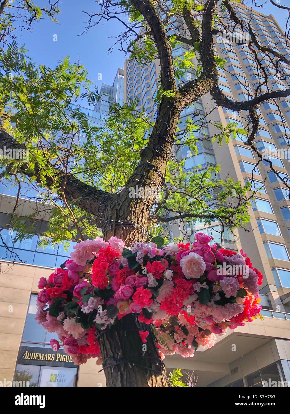 A beautiful floral arrangement hanging on a tree in Yorkville, a Toronto downtown neighbourhood. - Smartphone Captured Stock Image