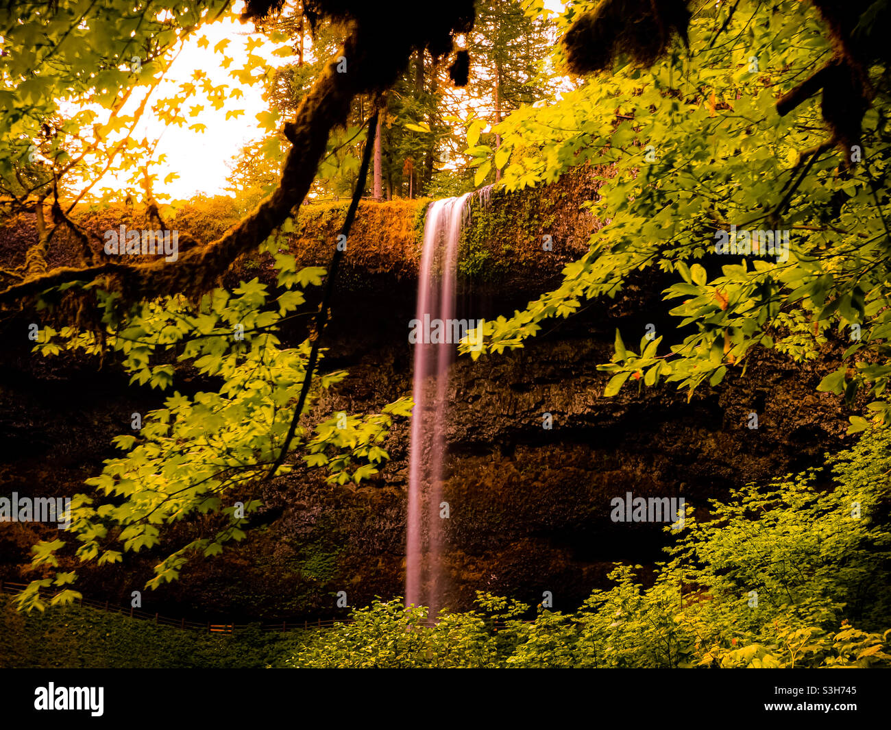 Waterfall through a clearing of branches on a morning hike in the forest. Stock Photo