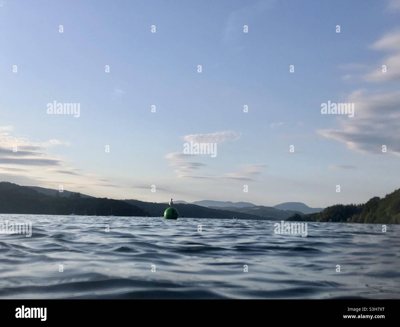A seagull sat on a buoy Stock Photo - Alamy