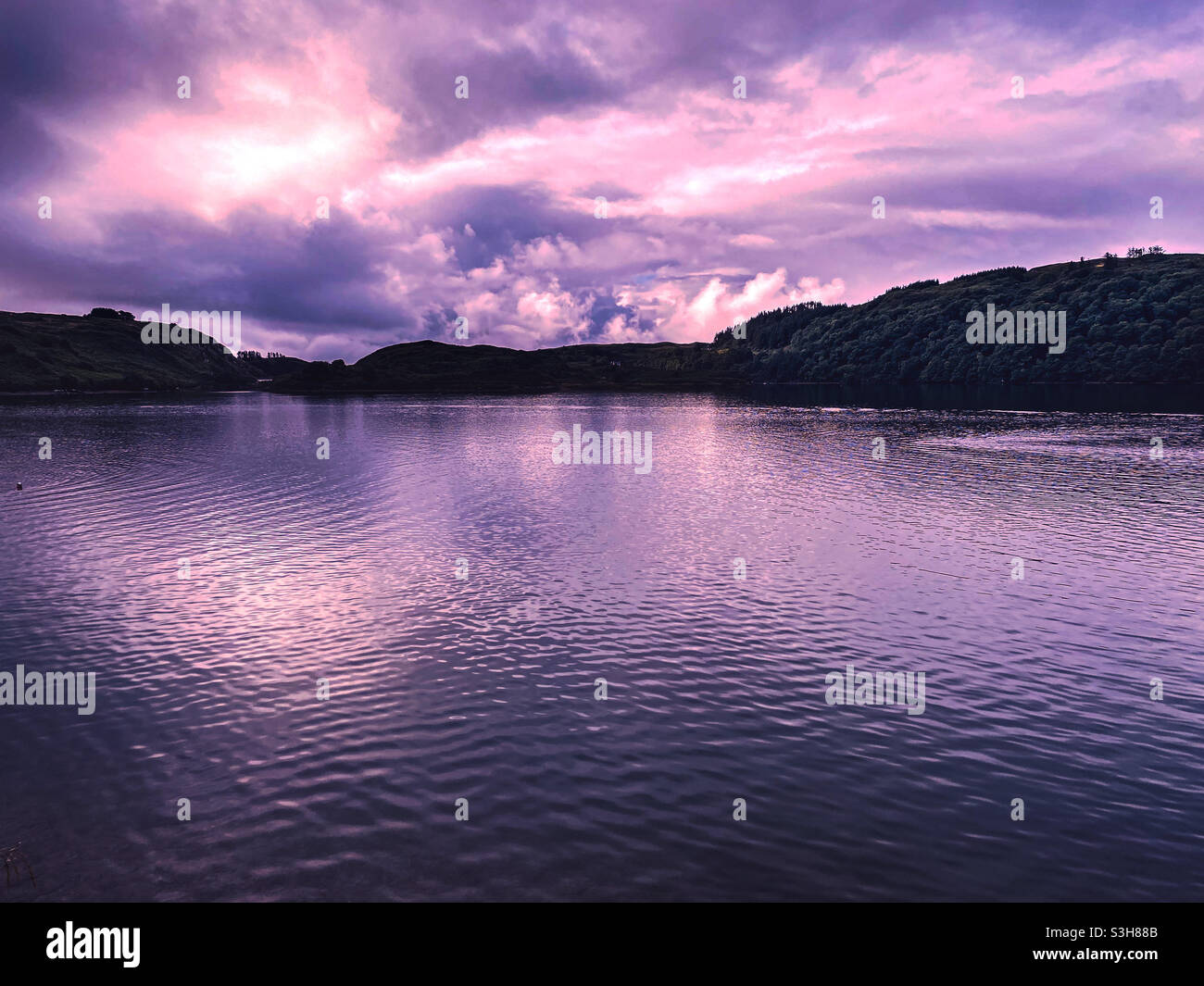 Lough Hyne Stock Photo Alamy