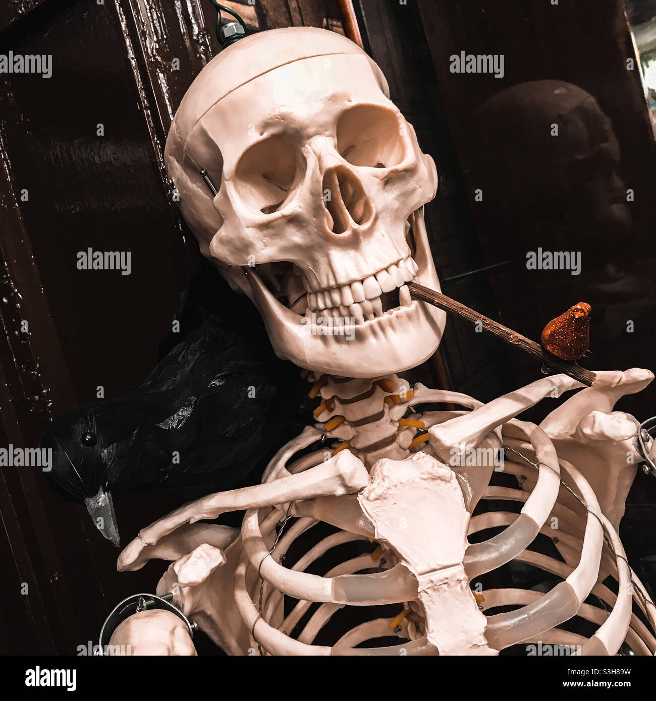 Skull pipe hi-res stock photography and images - Alamy