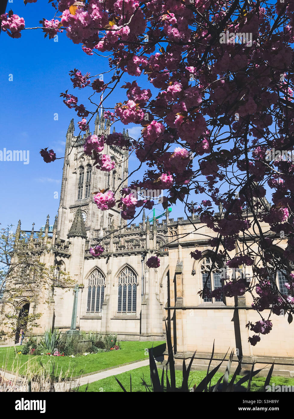 Cathedral in spring hi-res stock photography and images - Alamy
