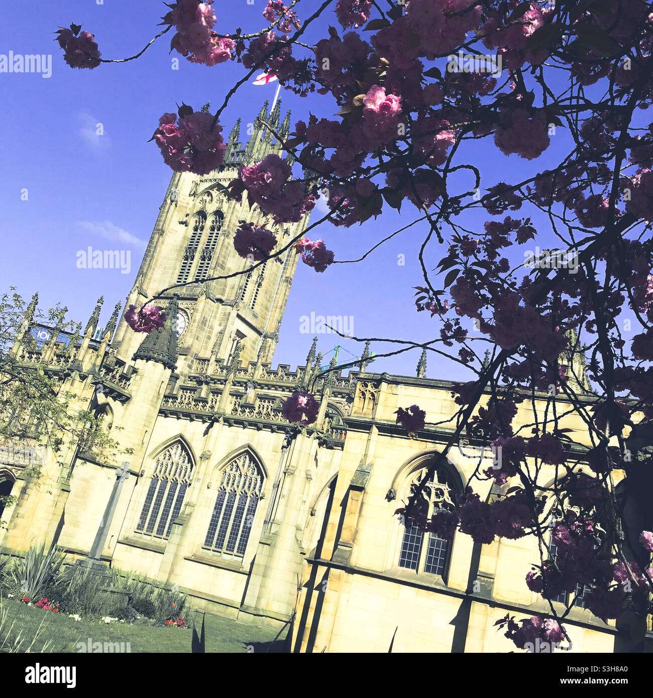 Manchester cathedral in spring Stock Photo - Alamy