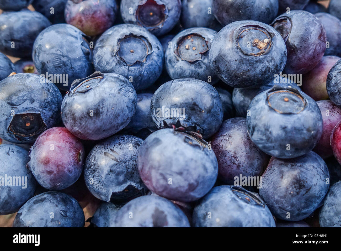 Close up of blueberries Stock Photo