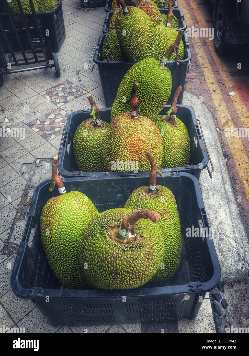 Jackfruit for sale at a market in George Town, Penang, Malaysia - Smartphone Captured Stock Image