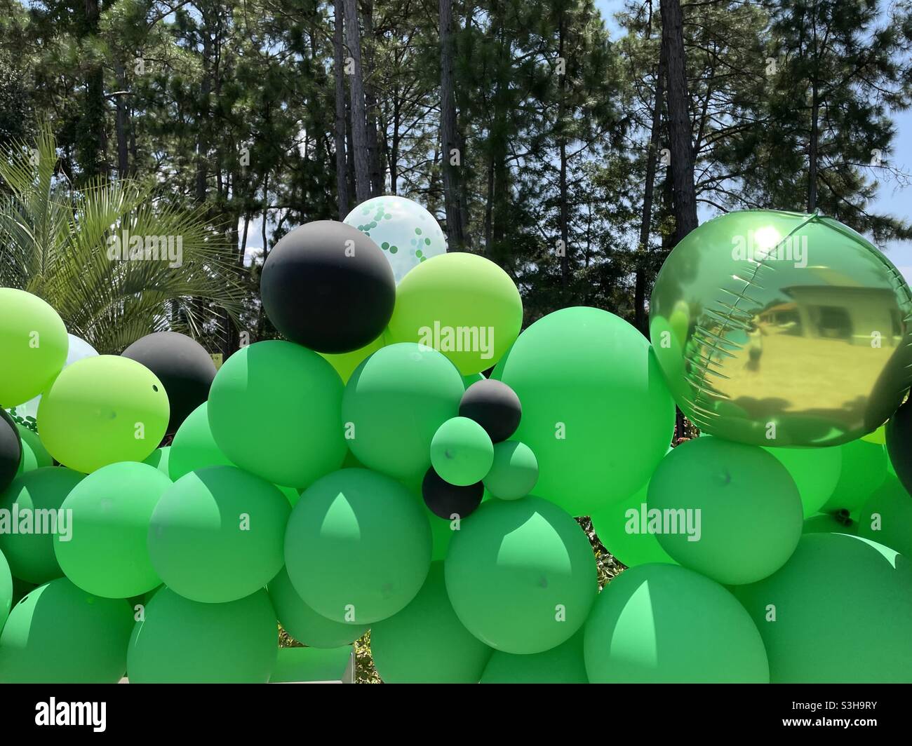 Colorful green and black outdoor party balloons - Smartphone Captured Stock Image