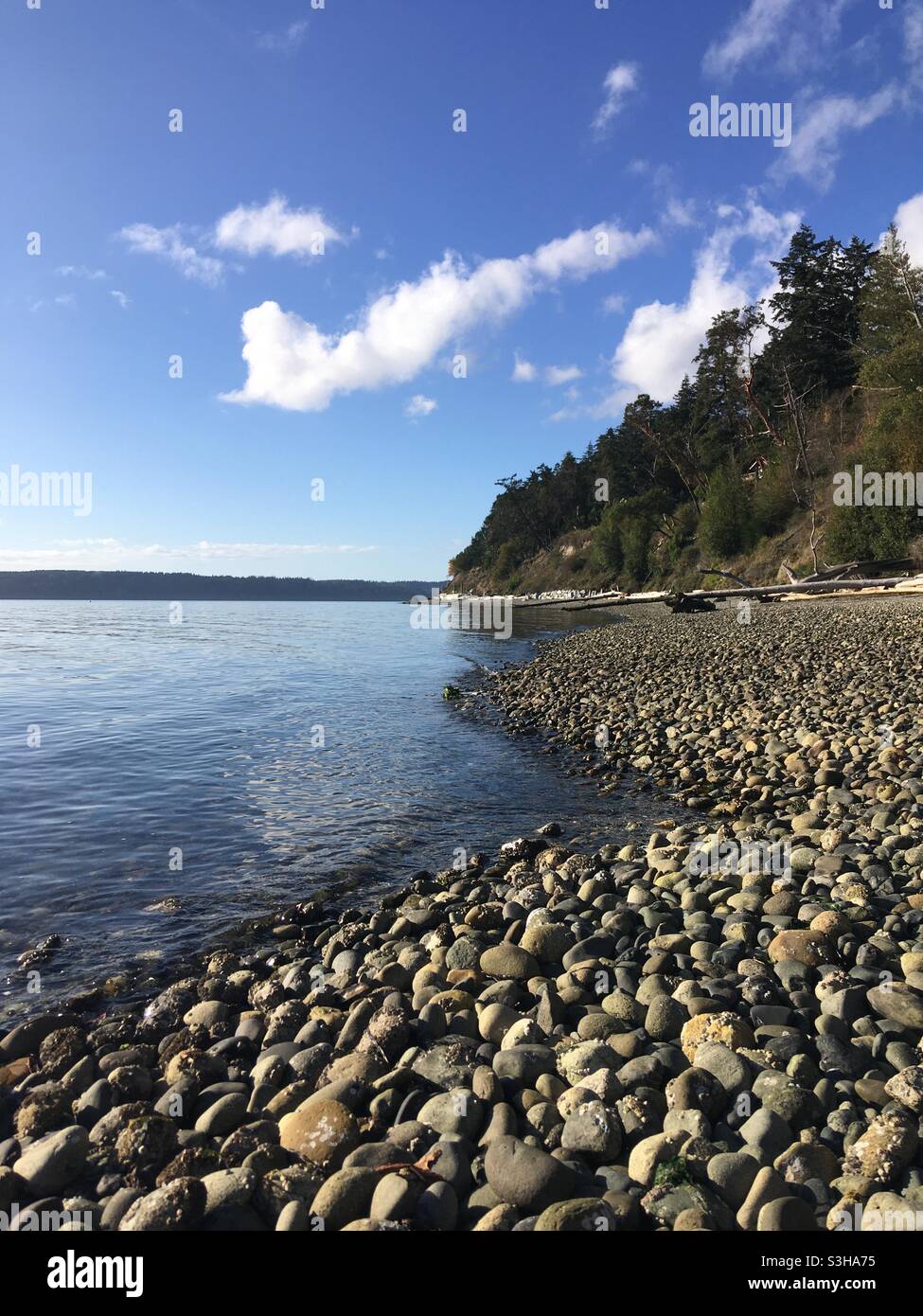 Camano Island State Park Washington Stock Photo Alamy