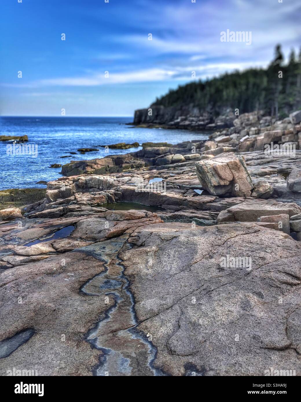 Nature- Rocks, Ocean and Trees. - Smartphone Captured Stock Image