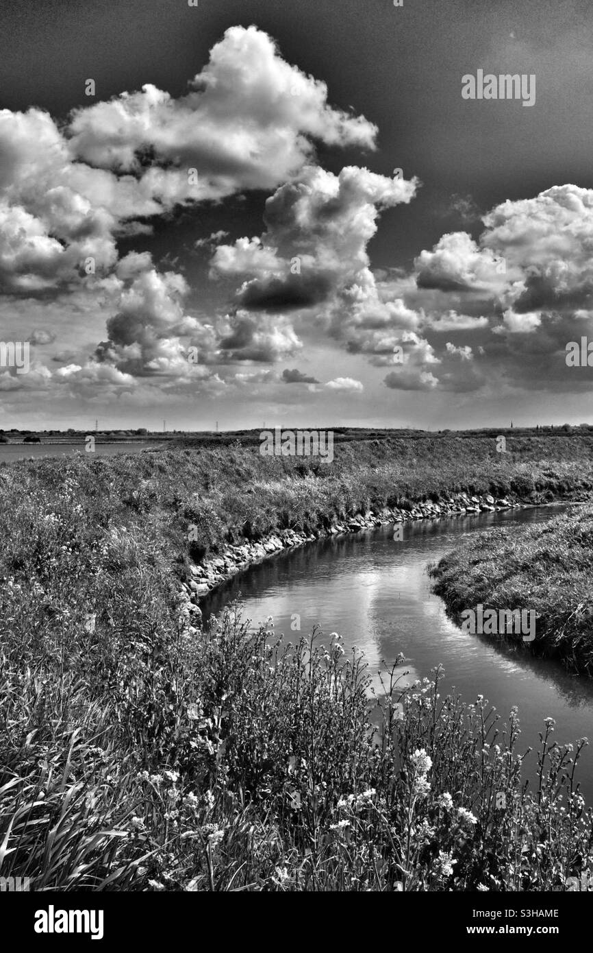 Monochrome River Bend - Smartphone Captured Stock Image