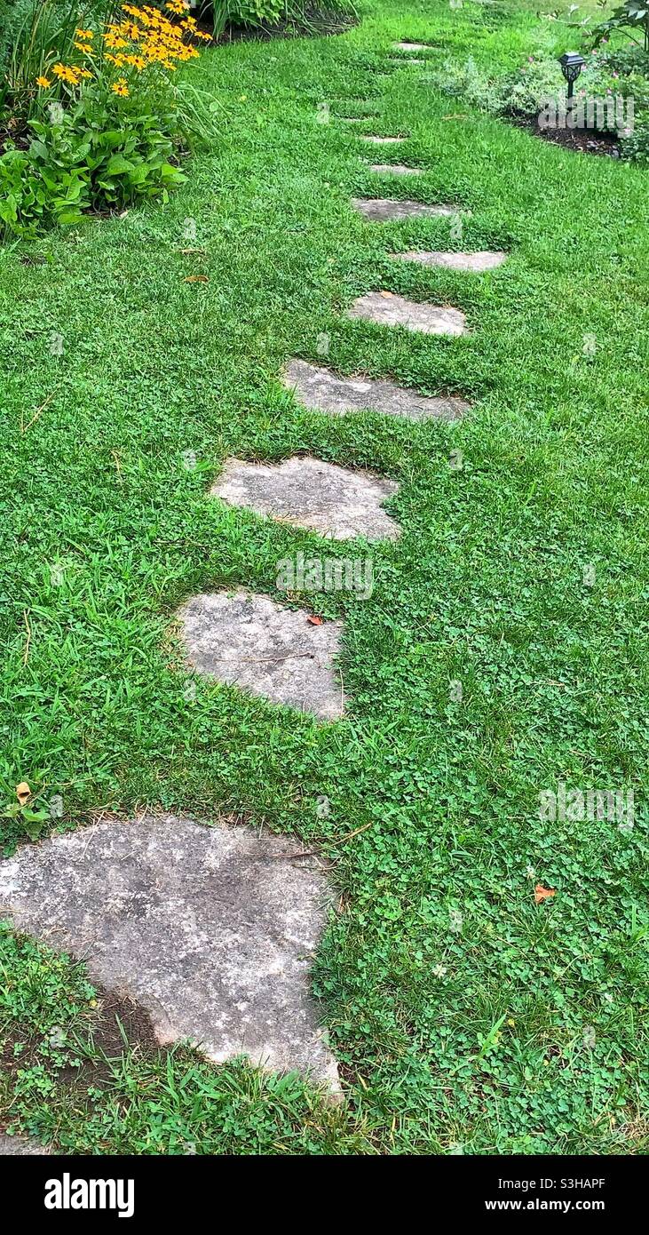 Stepping stones winding thru the lush summer green meadow. - Smartphone Captured Stock Image