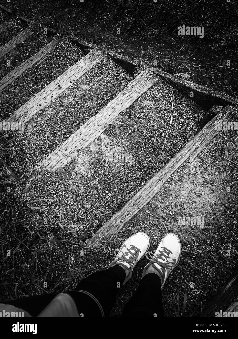 Stood at top of steps in a nature reserve - Smartphone Captured Stock Image Stood at top of steps in a nature reserve - Smartphone Captured Stock Image