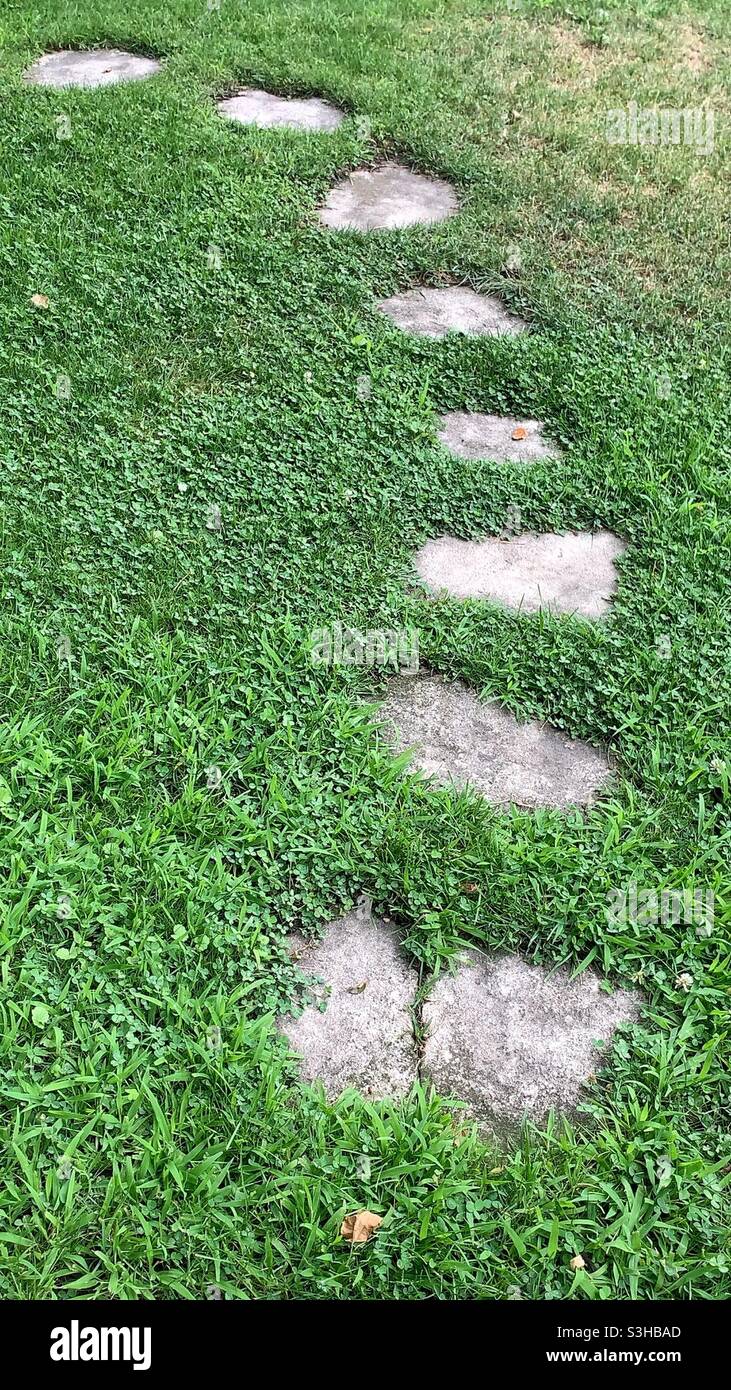 Romantic stepping stones leading thru the summer meadow. - Smartphone Captured Stock Image