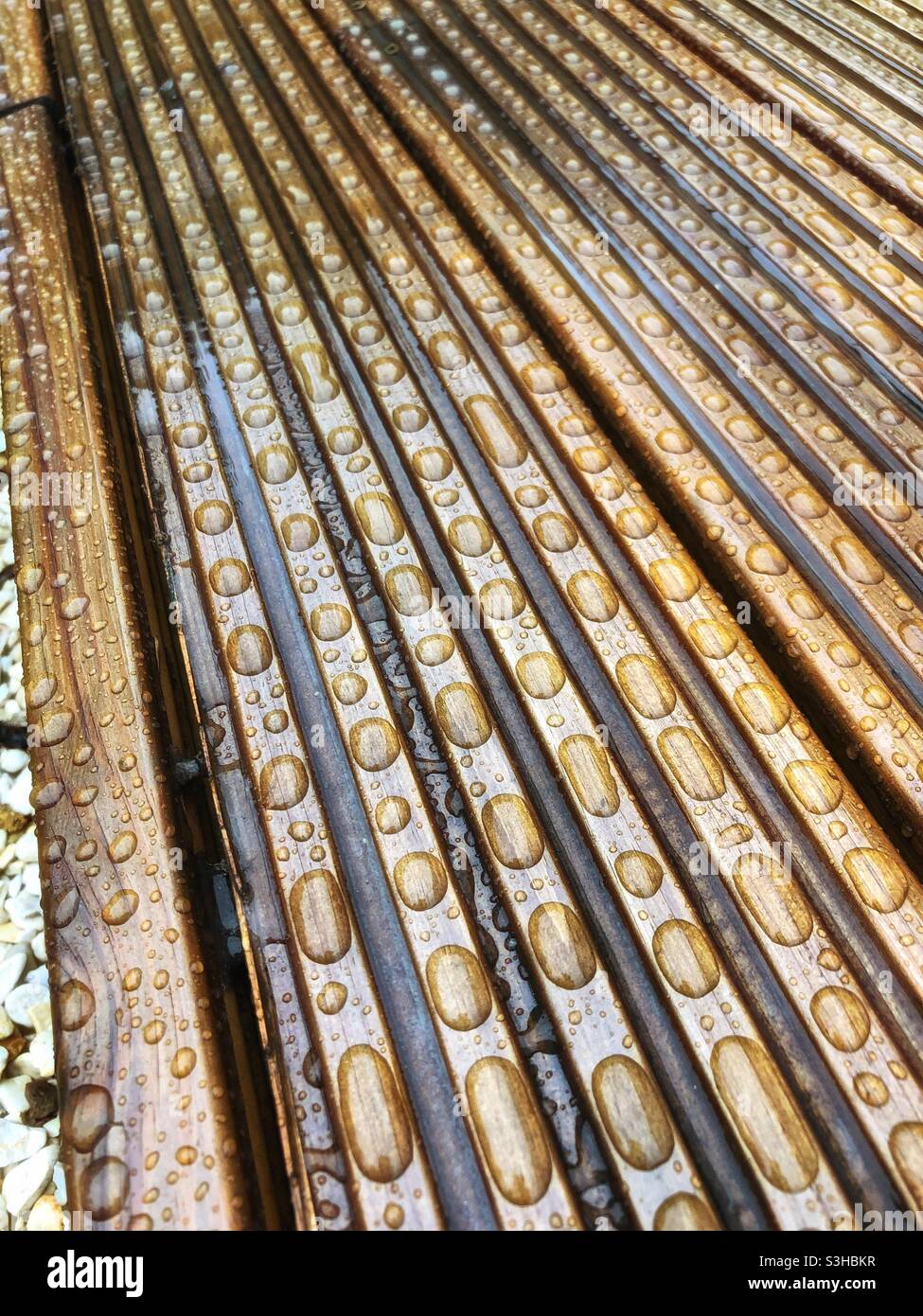 Beads of rainwater on the decking Stock Photo