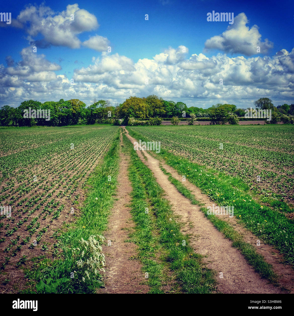 Walking Into The Clouds - Smartphone Captured Stock Image