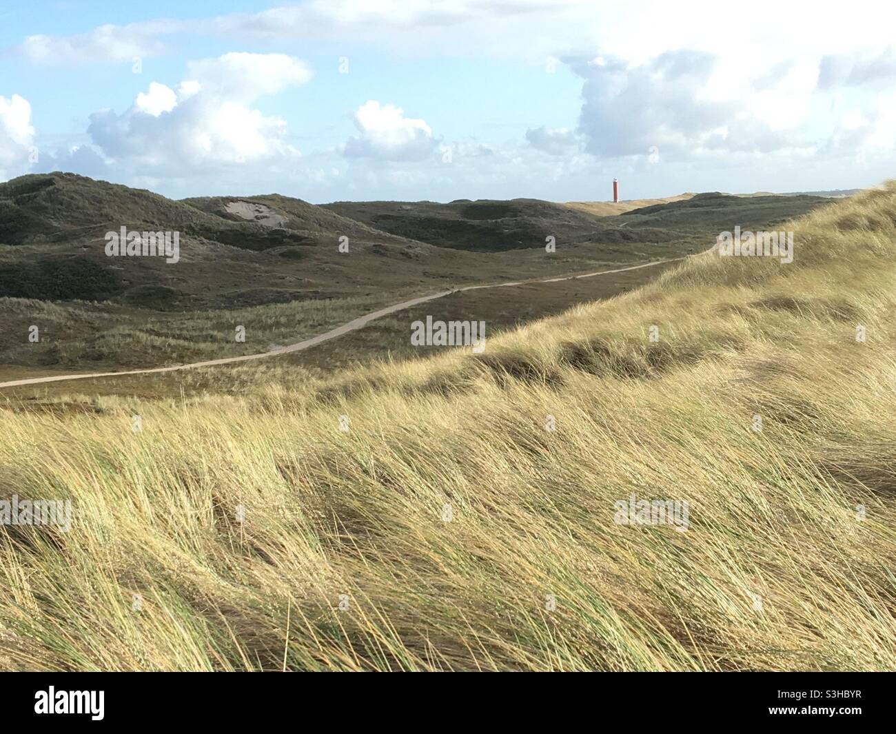 a path leads through grassy dunes where the grass in the foreground is lit by the sun and in the background a lighthouse can be seen with a slightly cloudy sky - Smartphone Captured Stock Image