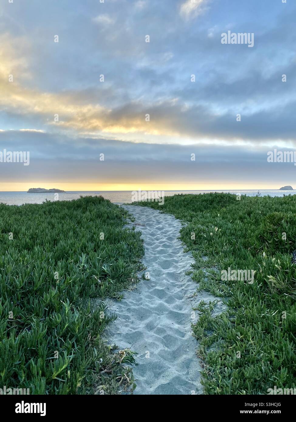 Northern California beach Stock Photo Alamy