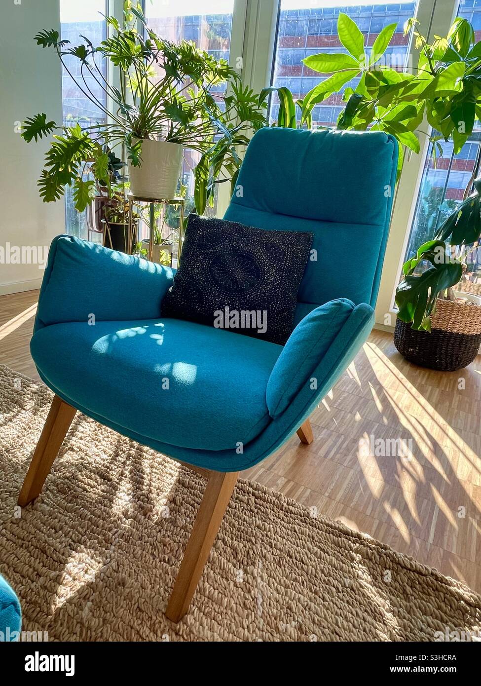 Turquoise armchair with plants in sunlight - Smartphone Captured Stock Image