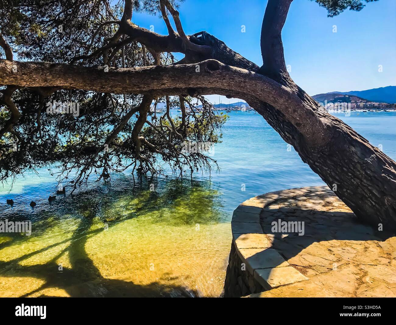 Puerto Pollensa bay, Mallorca Stock Photo