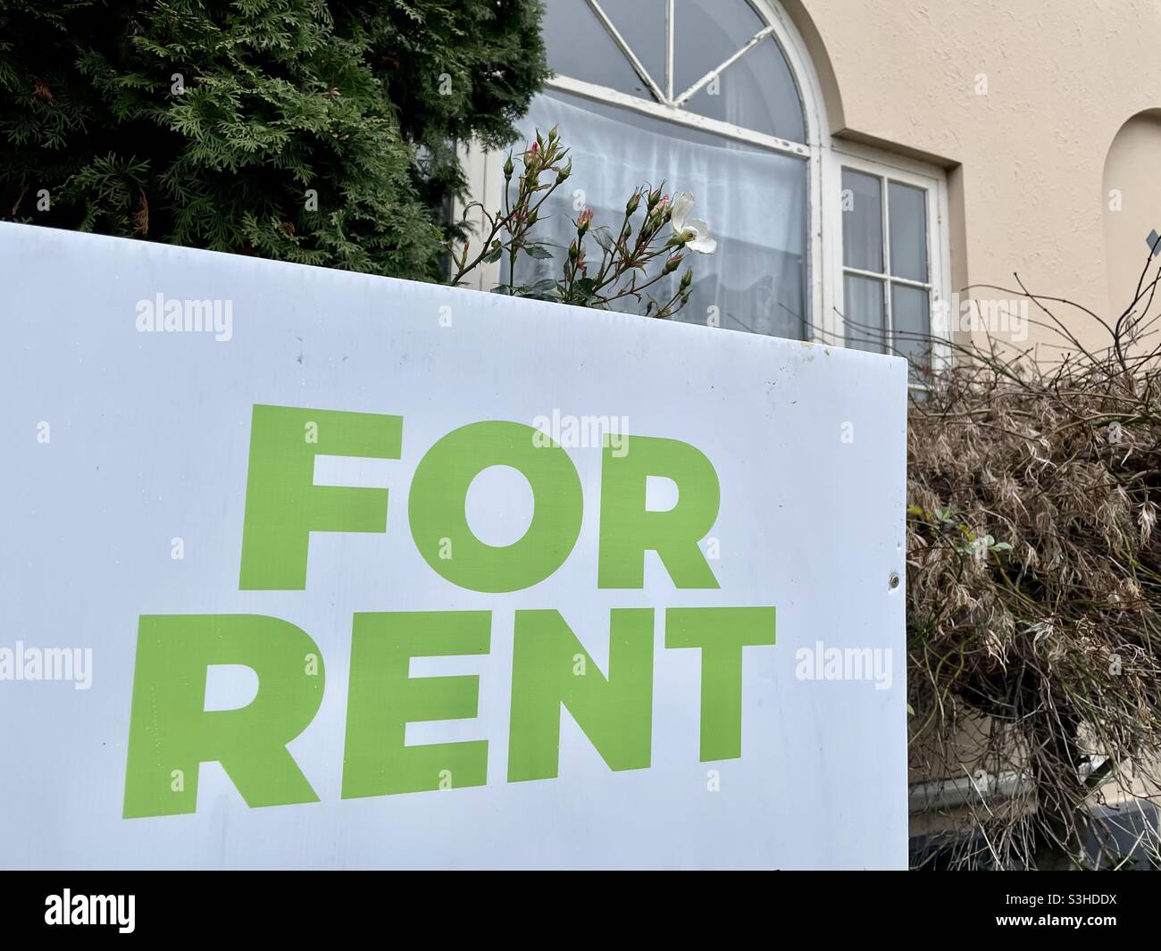 For rent sign outside a home available to rent in Christchurch New Zealand - Smartphone Captured Stock Image
