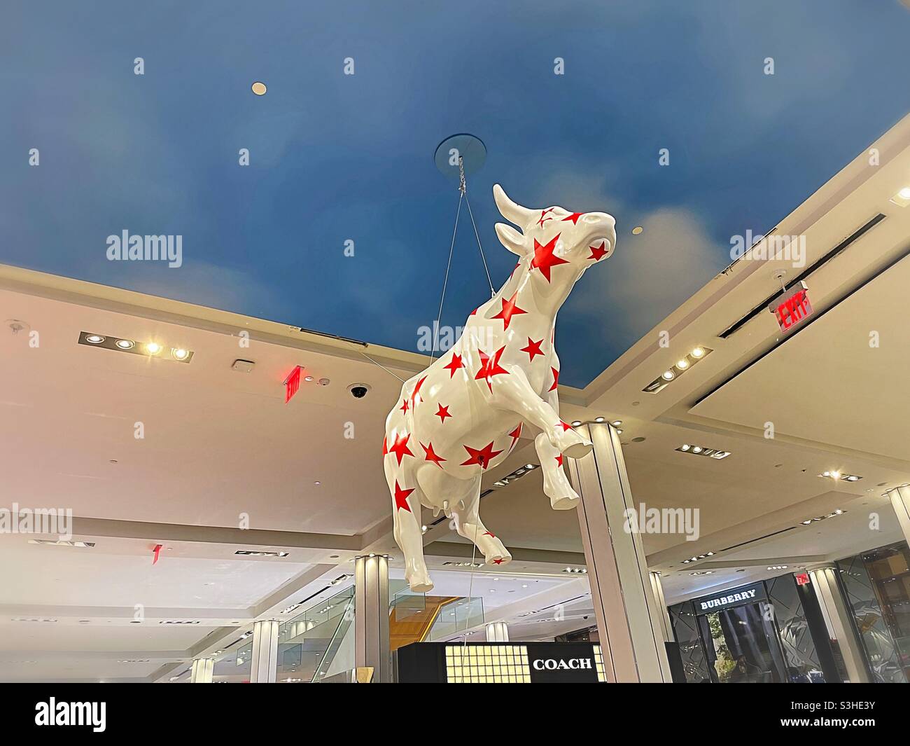 Cow parade 2021 at Macy’s in New York City, USA - Smartphone Captured Stock Image