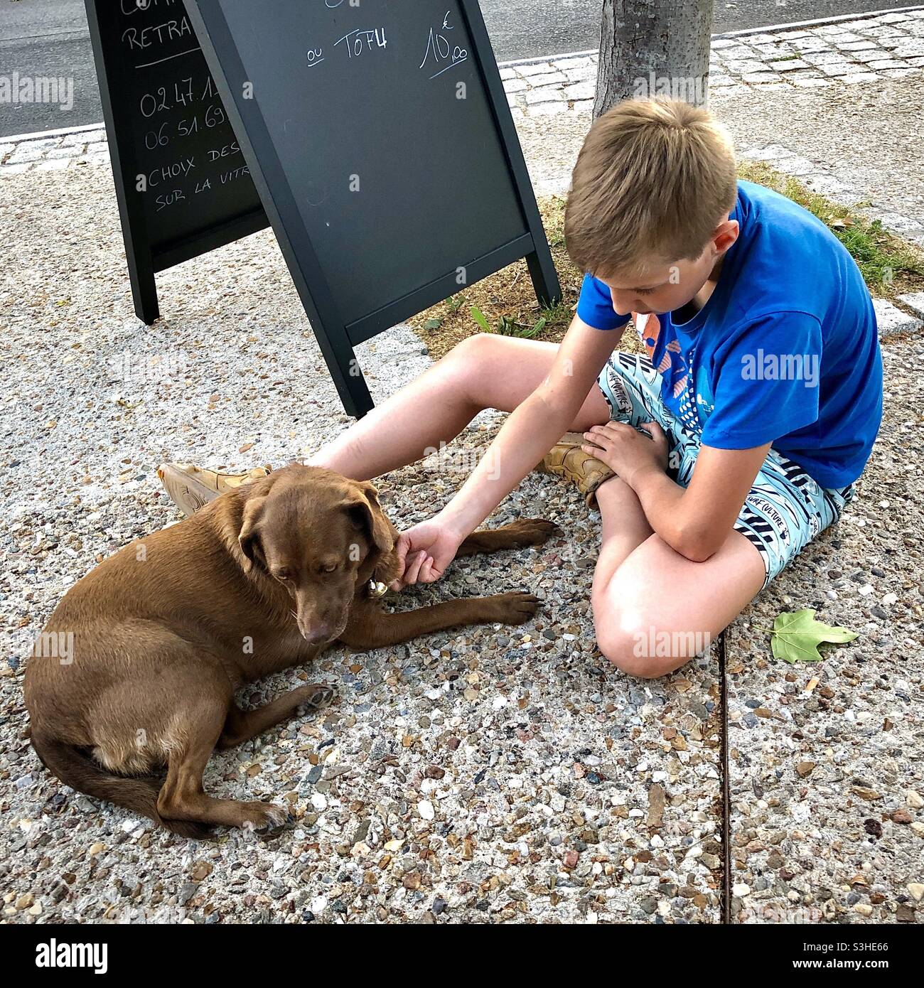 Young boy sat on pavement tickling dog under the chin. Stock Photo