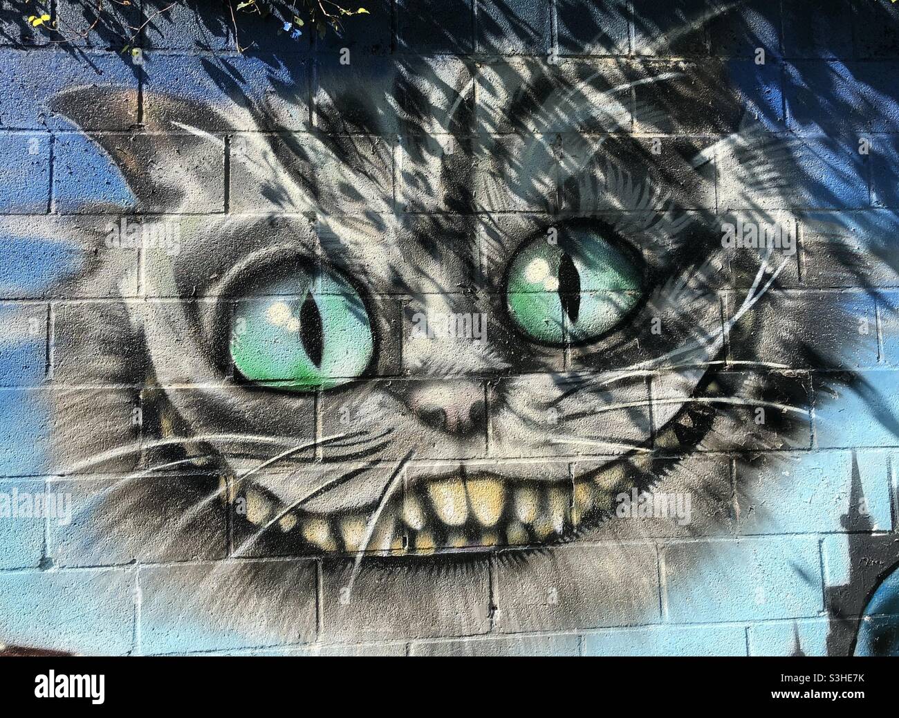 Wall art graffiti Cheshire Cat from Alice in Wonderland film Stock Photo