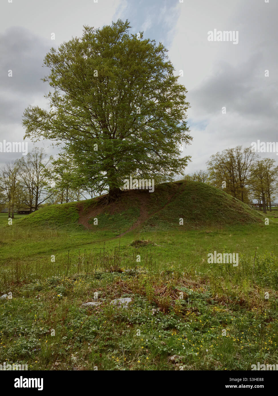 Viking Burial Mound at Borre National Park Horten Norway. Stock Photo