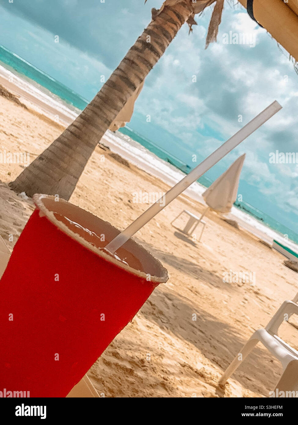 I wanna dance by water 'neath the Mexican sky. Drink some Margaritas by