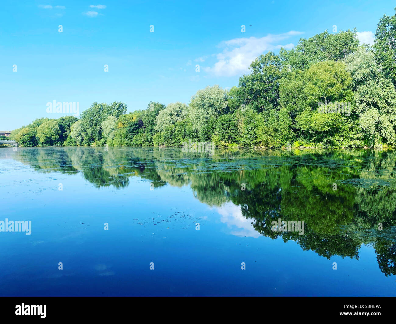 Stanley Park Reflections Stock Photo Alamy