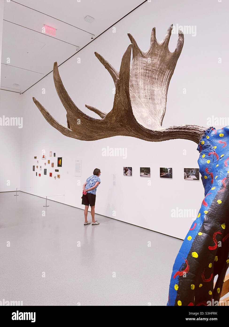 A woman viewing art in a gallery with a moose antler in the in the foreground, MOMA, NYC, USA Stock Photo