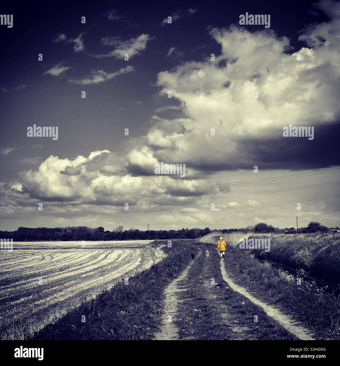 Monochrome Walker In Yellow Stock Photo Alamy