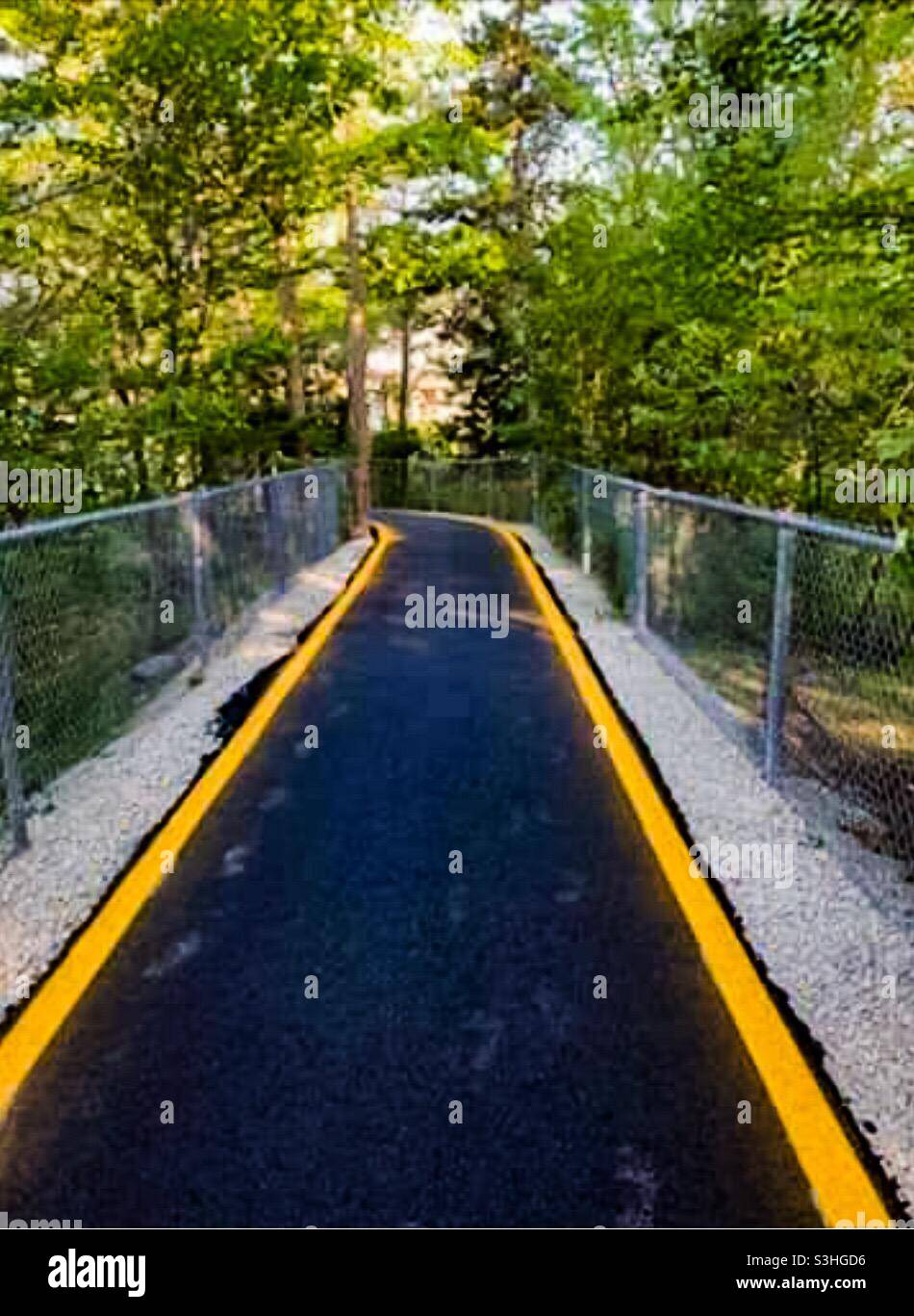 A freshly paved and painted path into the woods, Ontario, Canada. Often built at the edge of a parking lot, they offer a natural walkway to nearby stores and shopping areas. - Smartphone Captured Stock Image
