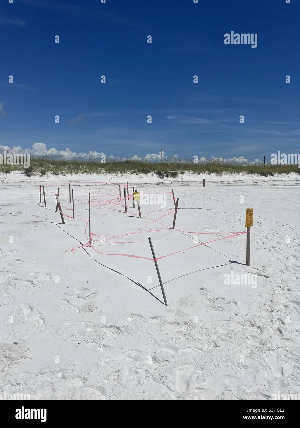 Protected sea turtle nesting area on Florida white sand beach - Smartphone Captured Stock Image