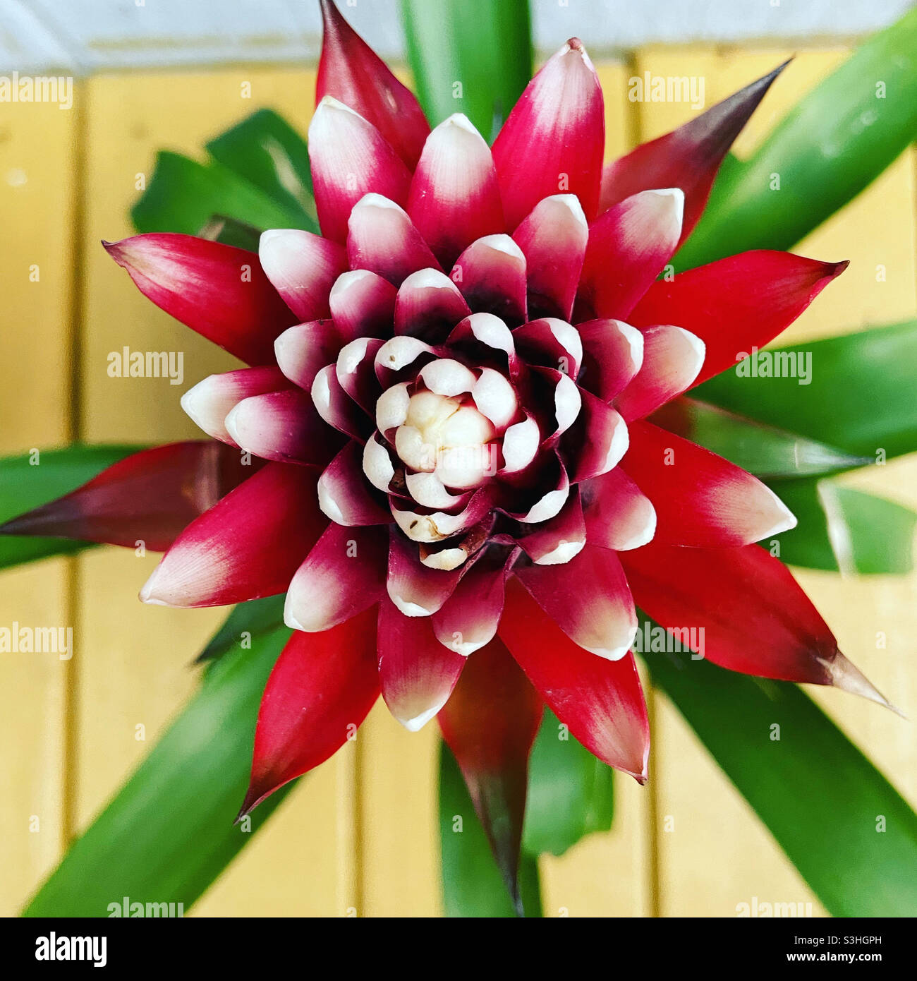 My Image 9