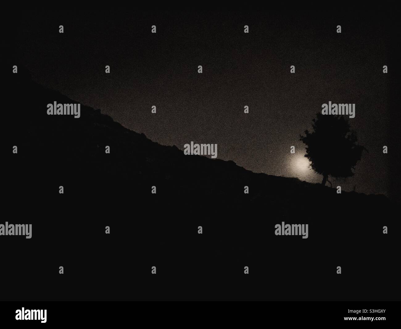 Lone tree on the hill photographed as the moon is rising - Smartphone Captured Stock Image