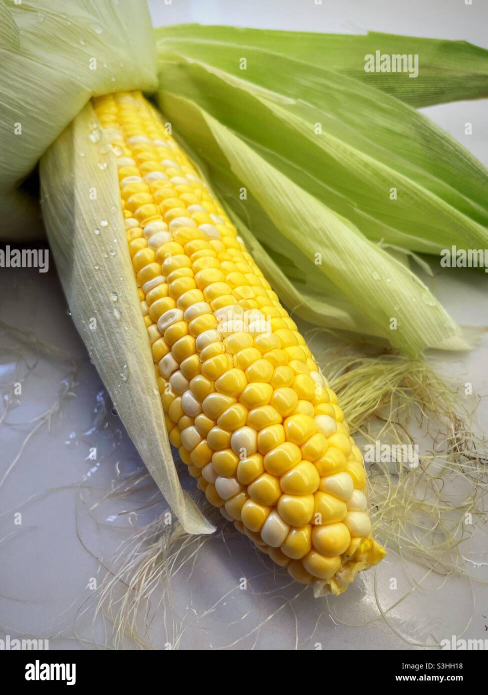 Close up of fresh sweet corn on the cob, USA - Smartphone Captured Stock Image