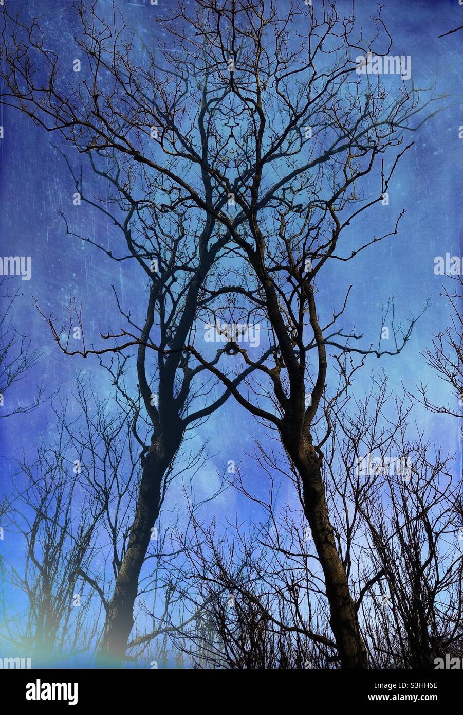 Symmetry - Smartphone Captured Stock Image