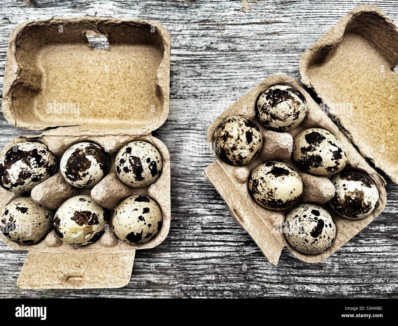 Quails eggs - Smartphone Captured Stock Image
