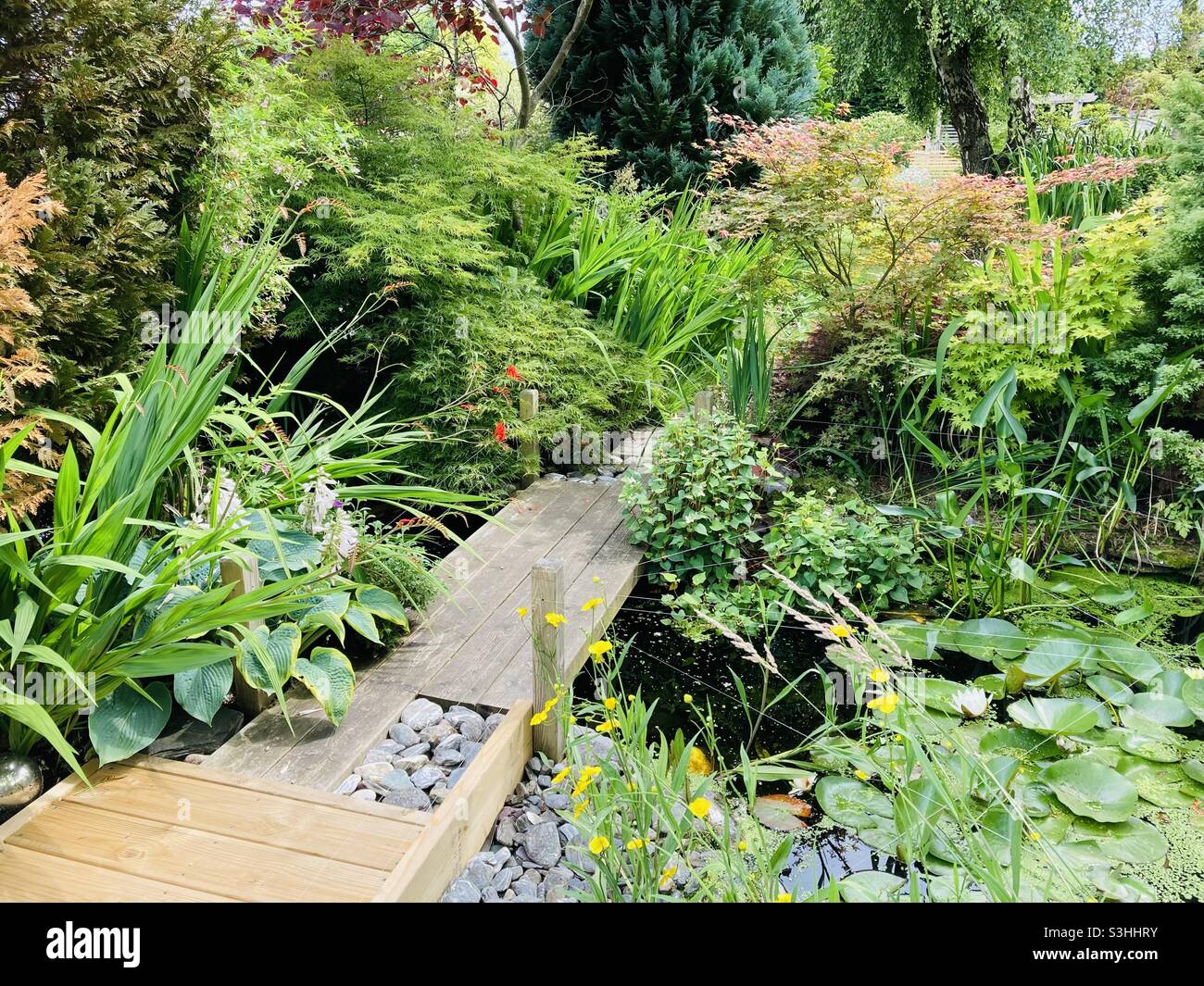 Pathway across pond Stock Photo