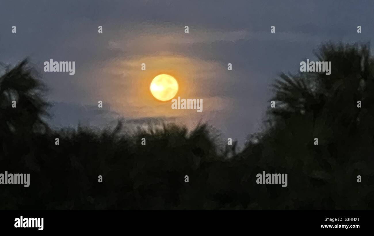 Moonlight Aug 22,2021 - Smartphone Captured Stock Image