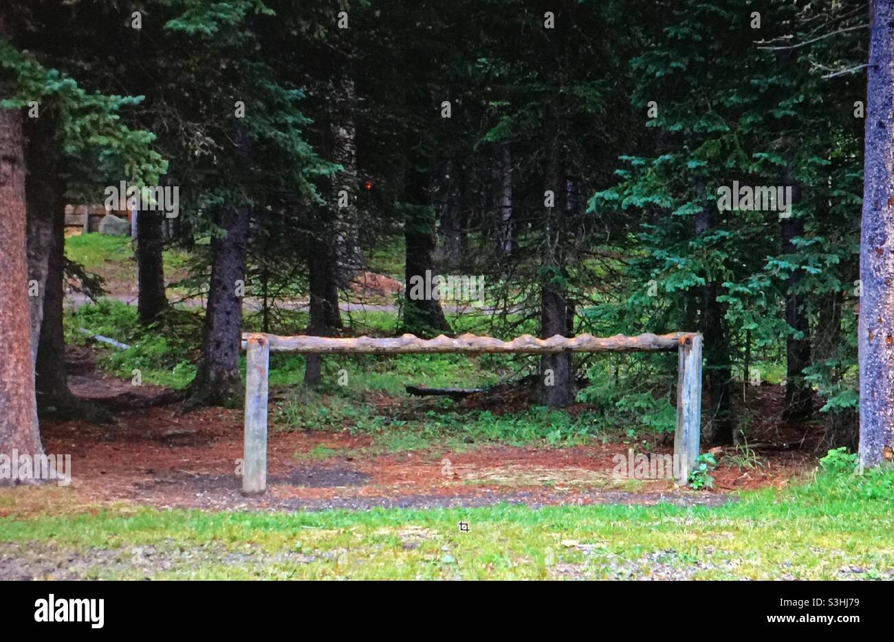 Gnawed and chewed equestrian hitching post. Horses often chew wood.  This is called cribbing. - Smartphone Captured Stock Image