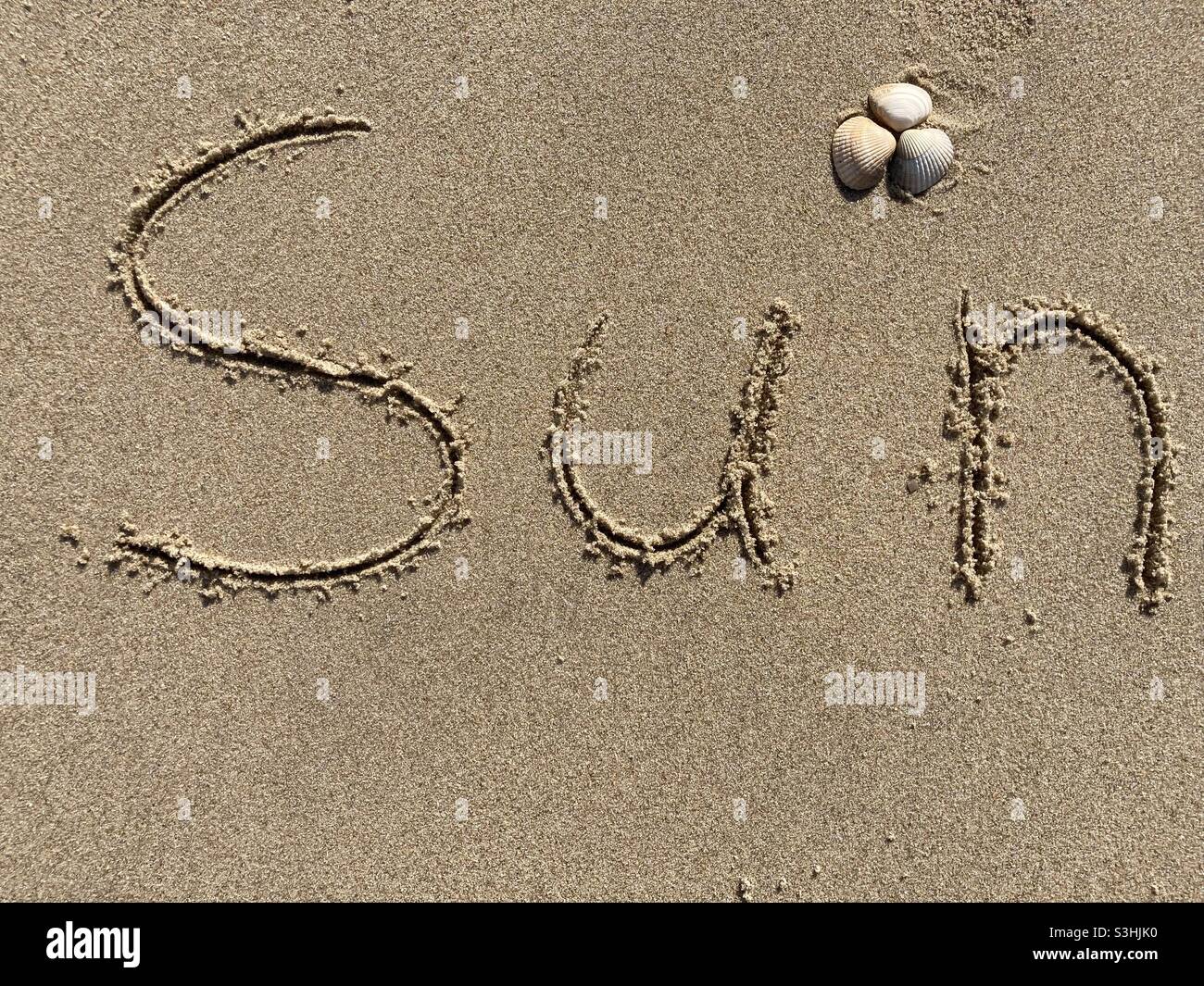 Writing on the beach in wet sand: Sun, there are a couple of shells around it Stock Photo