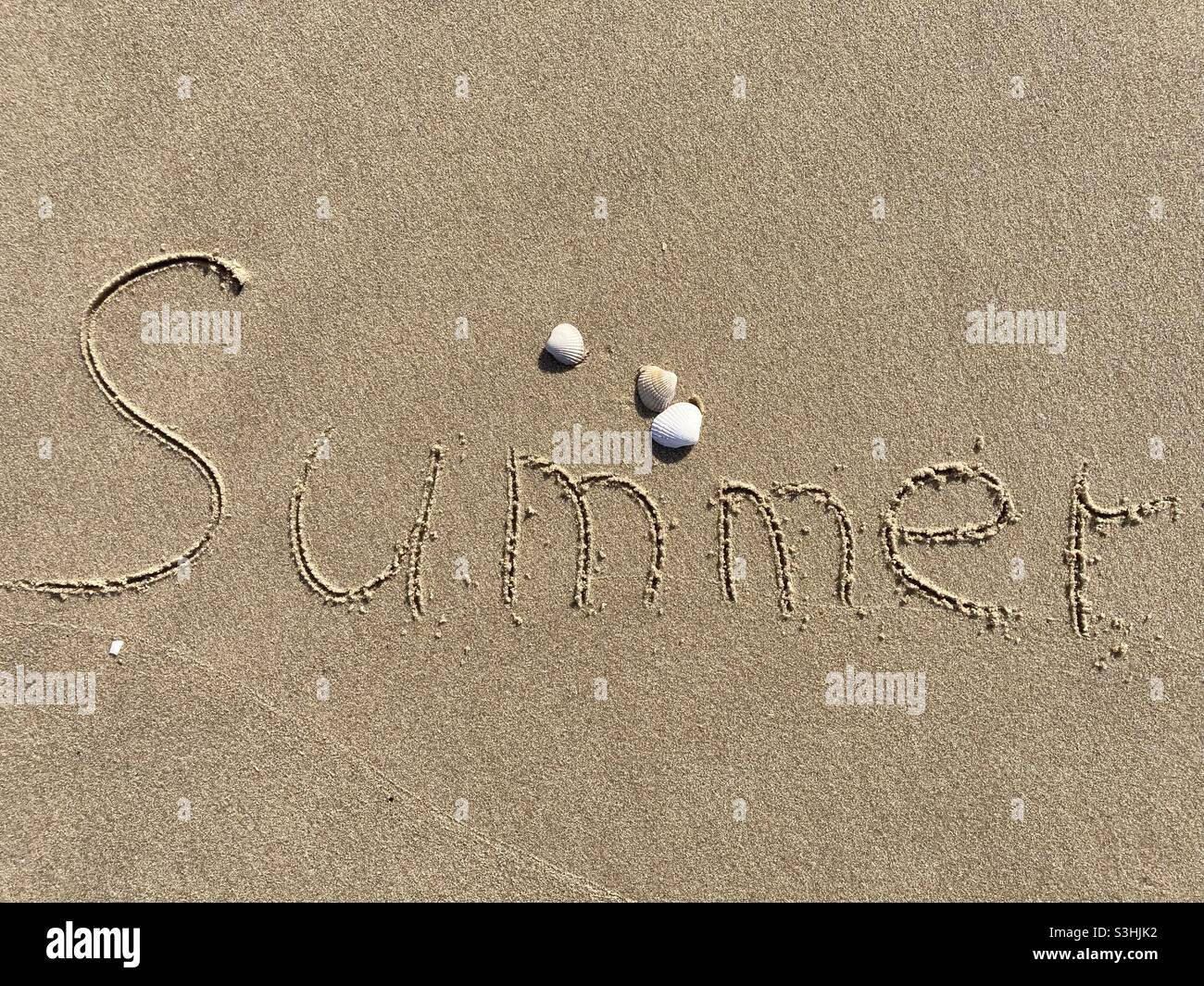Writing on the beach in wet sand: summer, there are a couple of shells around it Stock Photo