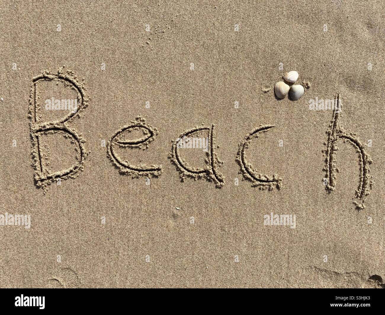 Writing on the beach in wet sand: Beach, there are a couple of shells around it Stock Photo