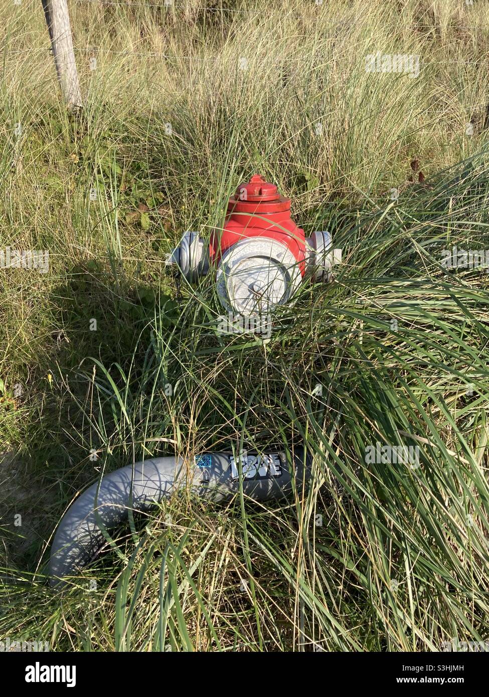 a red hydrant is overgrown with grass Stock Photo
