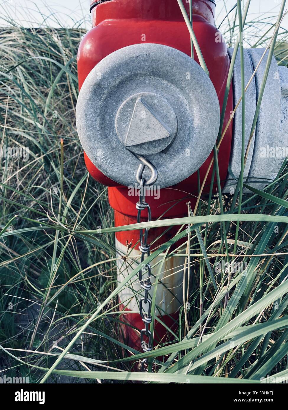 Hydrant overgrown with grass Stock Photo