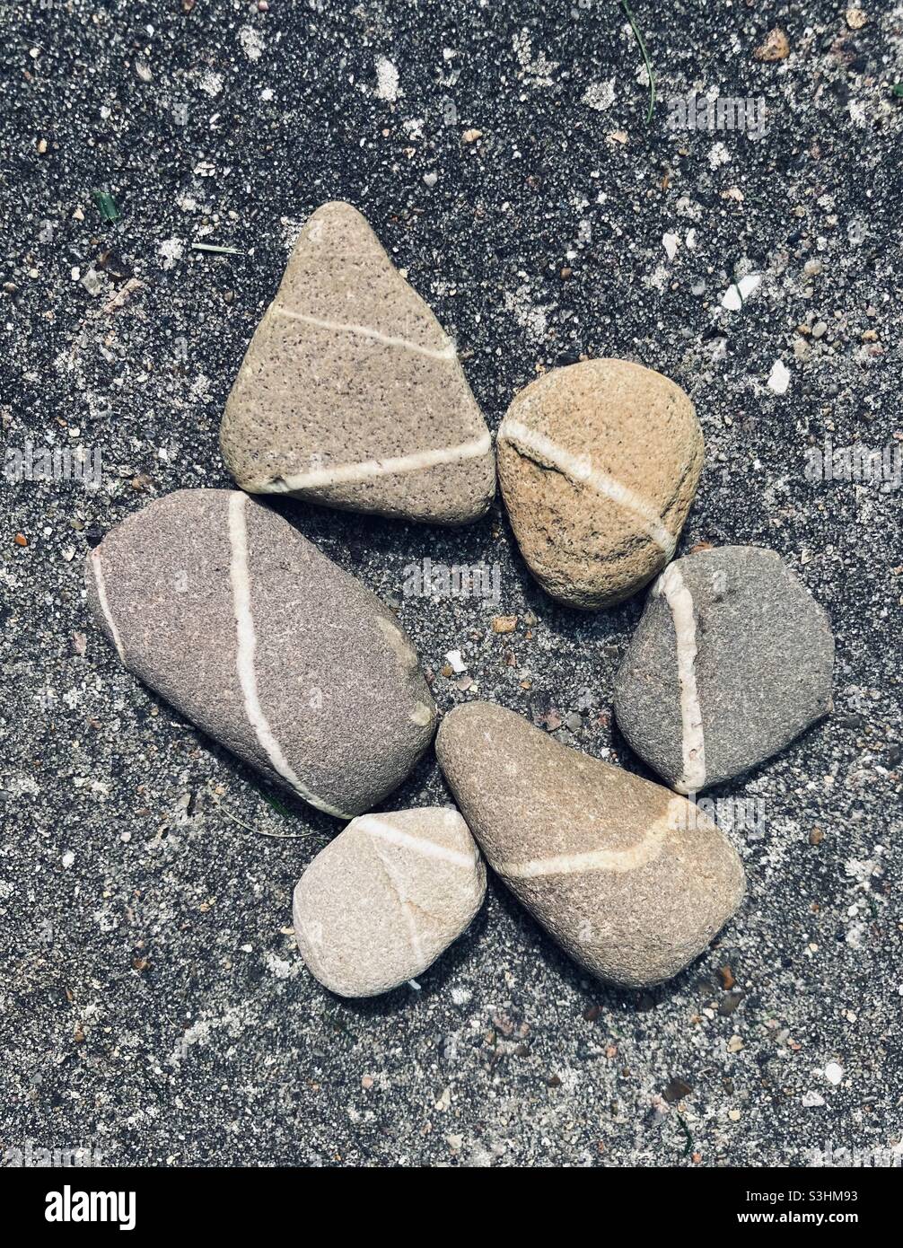 gray pebbles with white stripes are so close together that the stripes form a continuous line in a circle - Smartphone Captured Stock Image