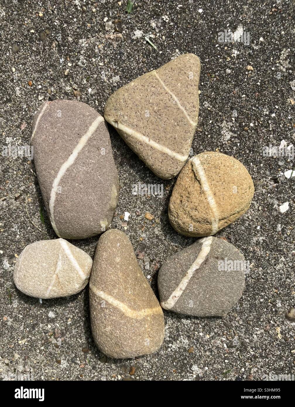 gray pebbles with white stripes are so close together that the stripes form a continuous line in a circle - Smartphone Captured Stock Image