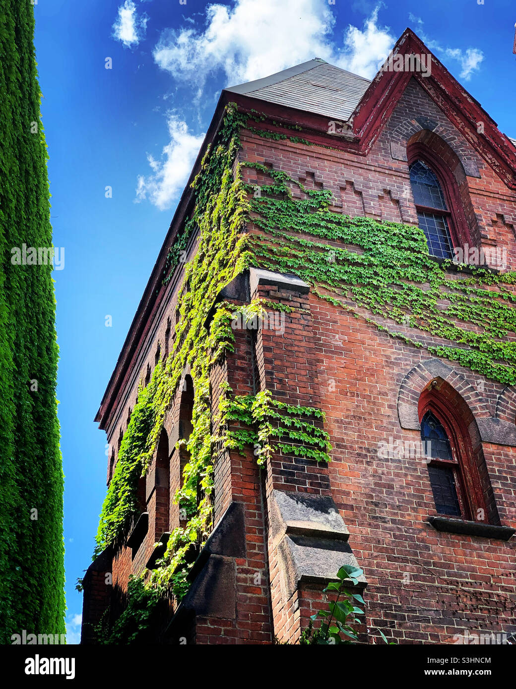 July, 2021, vines on a brick building, Brattleboro, Windham County, Vermont, United States Stock Photo